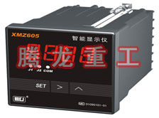 溫度表、數(shù)字顯示儀、濕度表